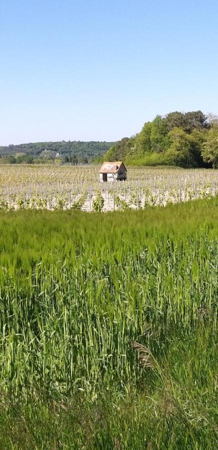 Le Clos De La Chesneraie Saint-Georges-sur-Cher Exteriér fotografie